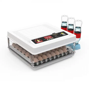 Incubator pentru oua DM-70. Photo 3